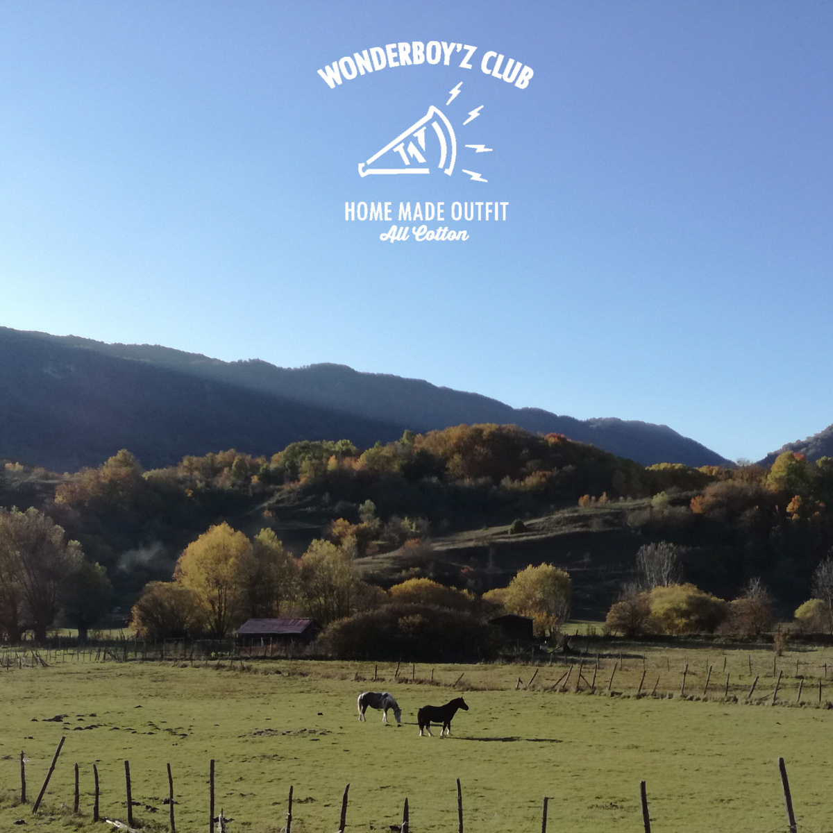 sfondo-cavalli